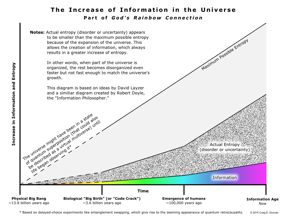The Increase of Information in the Universe
